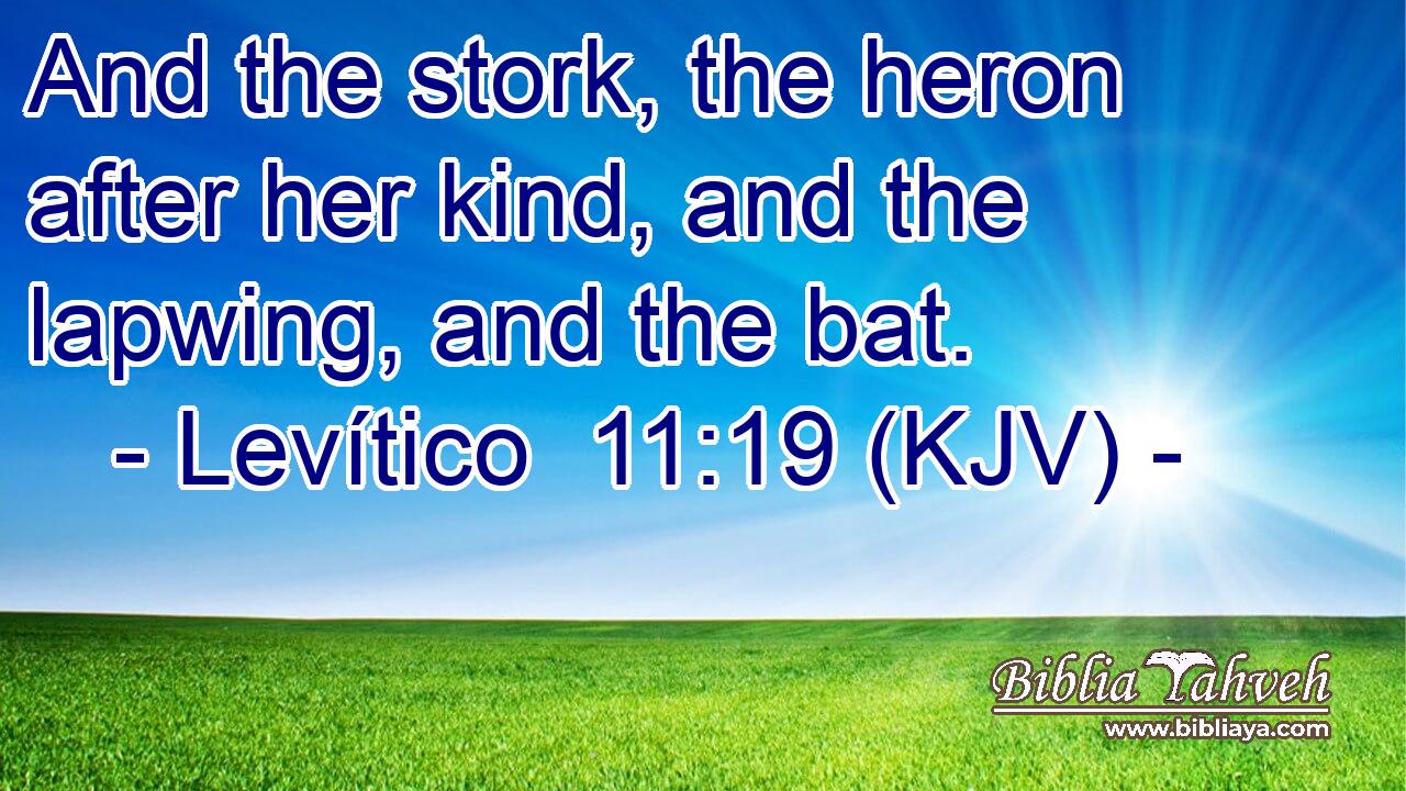 And the stork, the heron after her kind, and the lapwing, and the bat.