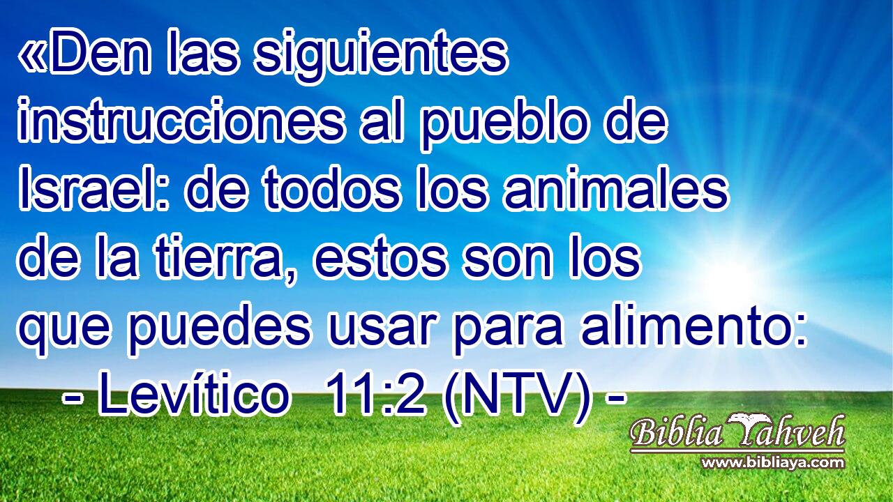«Den las siguientes instrucciones al pueblo de Israel: de todos los animales de la tierra, estos son los que puedes usar para alimento: