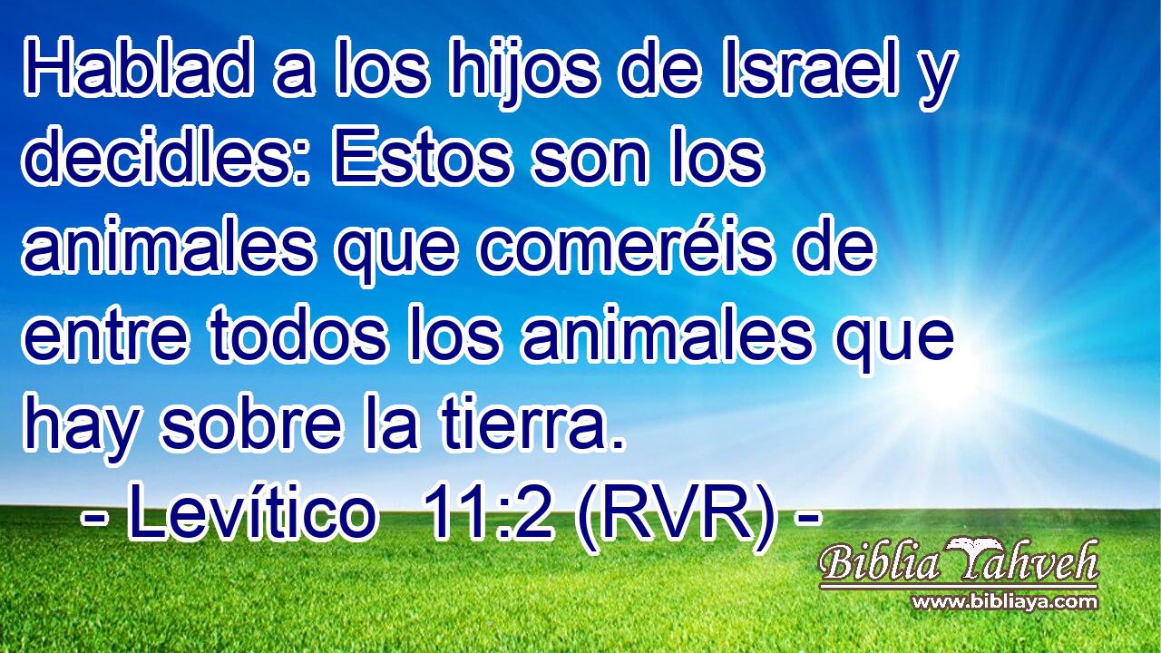 Hablad a los hijos de Israel y decidles: Estos son los animales que comeréis de entre todos los animales que hay sobre la tierra.