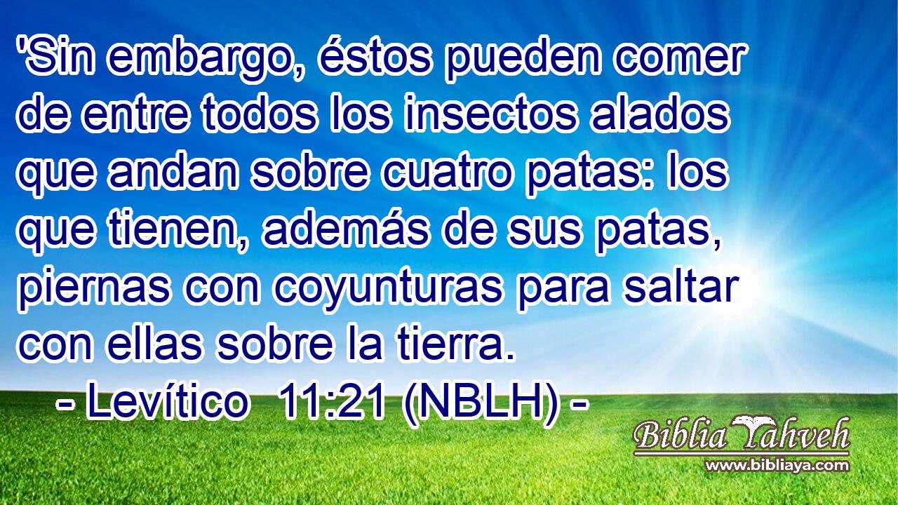  'Sin embargo, éstos pueden comer de entre todos los insectos alados que andan sobre cuatro patas: los que tienen, además de sus patas, piernas con coyunturas para saltar con ellas sobre la tierra. 