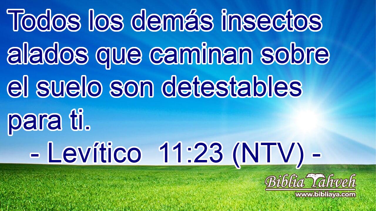 Todos los demás insectos alados que caminan sobre el suelo son detestables para ti.