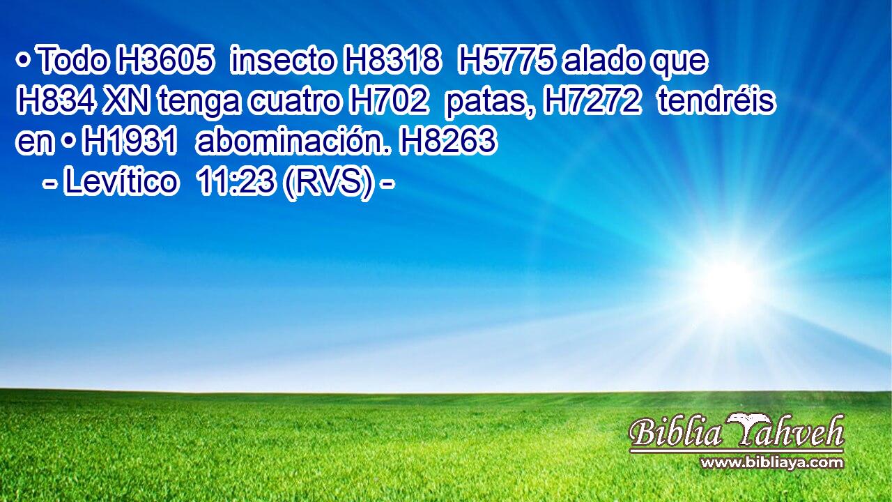 • Todo H3605  insecto H8318  H5775 alado que H834 XN tenga cuatro H702  patas, H7272  tendréis en • H1931  abominación. H8263  