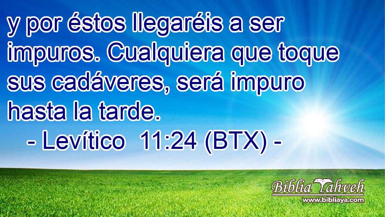 y por éstos llegaréis a ser impuros. Cualquiera que toque sus cadáveres, será impuro hasta la tarde.