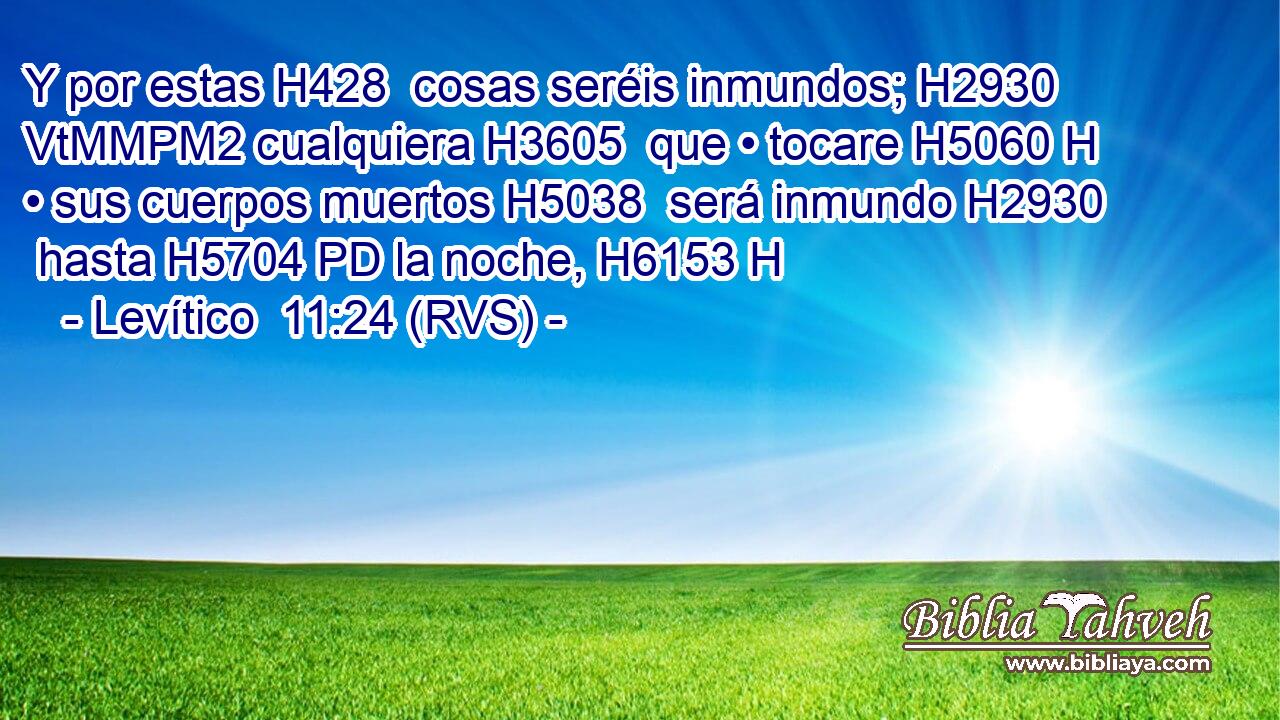 Y por estas H428  cosas seréis inmundos; H2930 VtMMPM2 cualquiera H3605  que • tocare H5060 H • sus cuerpos muertos H5038  será inmundo H2930  hasta H5704 PD la noche, H6153 H 