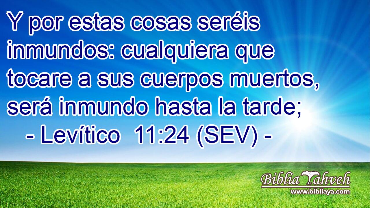 Y por estas cosas seréis inmundos: cualquiera que tocare a sus cuerpos muertos, será inmundo hasta la tarde;