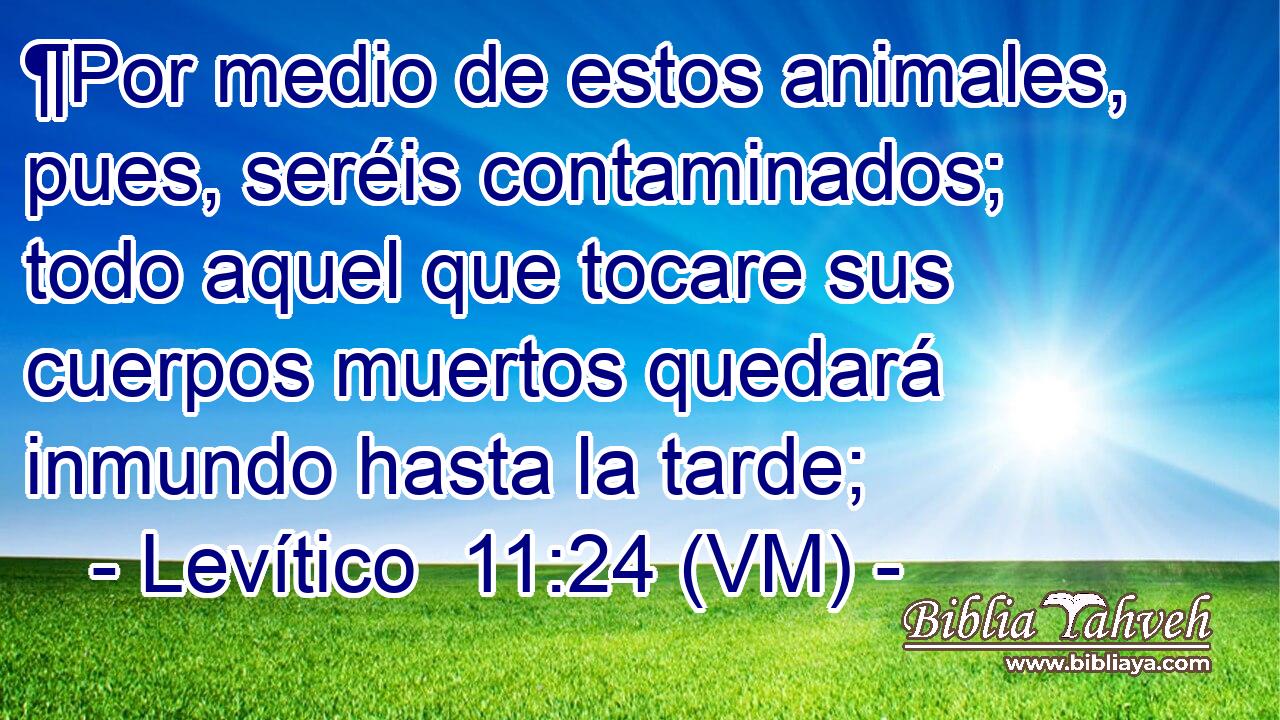  ¶Por medio de estos animales, pues, seréis contaminados; todo aquel que tocare sus cuerpos muertos quedará inmundo hasta la tarde; 