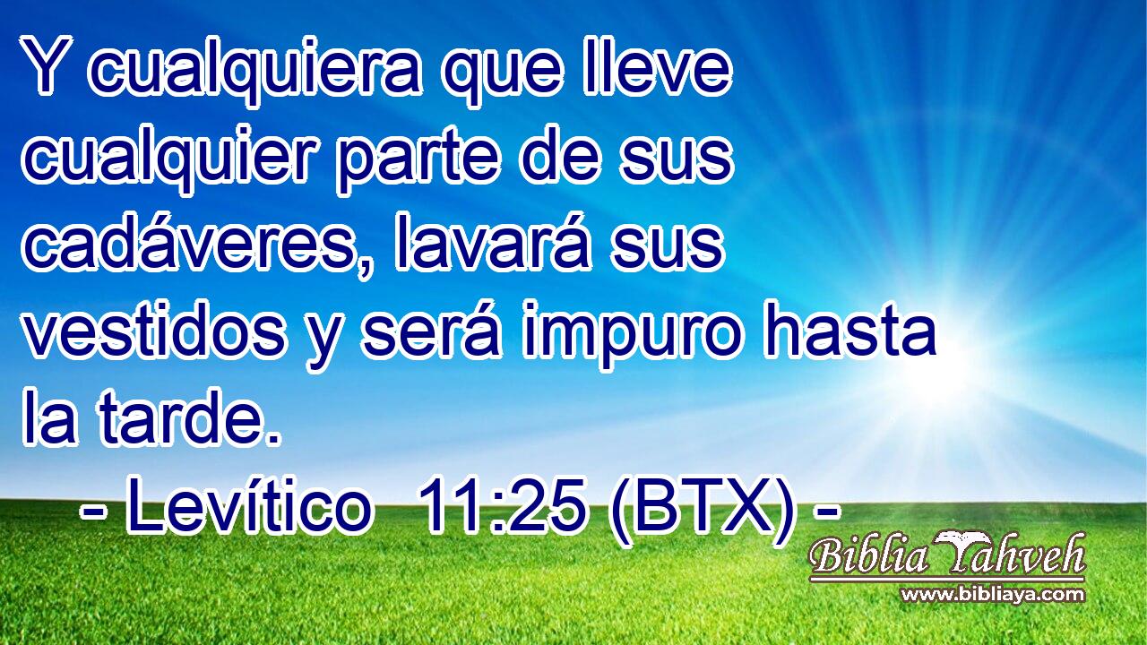 Y cualquiera que lleve cualquier parte de sus cadáveres, lavará sus vestidos y será impuro hasta la tarde.