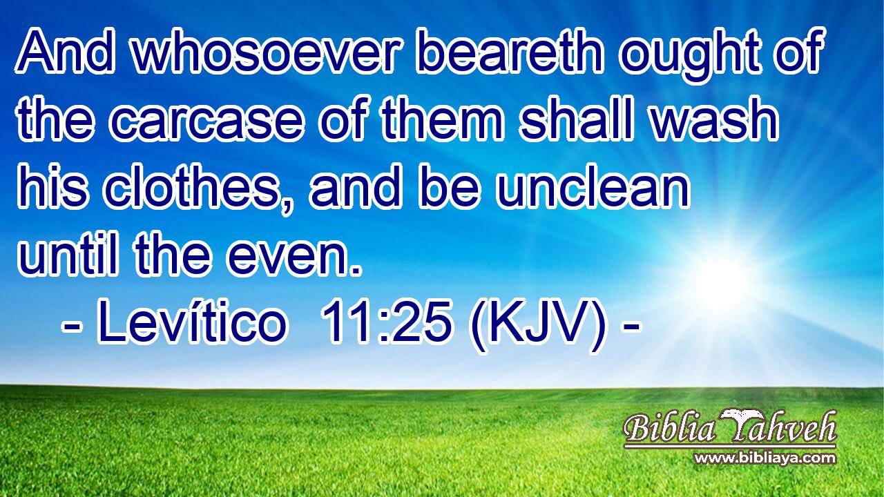 And whosoever beareth ought of the carcase of them shall wash his clothes, and be unclean until the even.