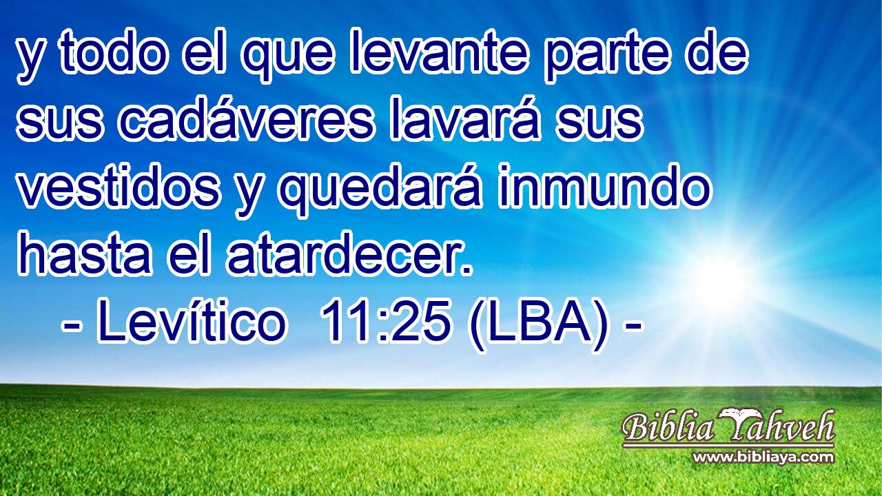 y todo el que levante parte de sus cadáveres lavará sus vestidos y quedará inmundo hasta el atardecer.