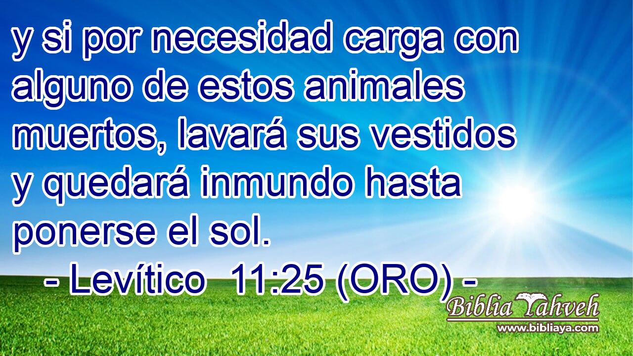  y si por necesidad carga con alguno de estos animales muertos, lavará sus vestidos y quedará inmundo hasta ponerse el sol. 