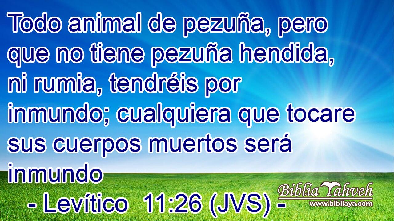 Todo animal de pezuña, pero que no tiene pezuña hendida, ni rumia, tendréis por inmundo; cualquiera que tocare sus cuerpos muertos será inmundo