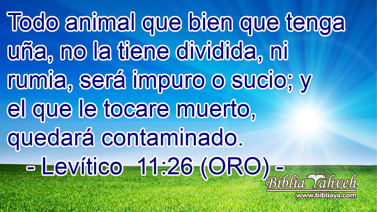  Todo animal que bien que tenga uña, no la tiene dividida, ni rumia, será impuro o sucio; y el que le tocare muerto, quedará contaminado. 