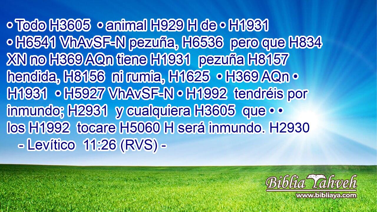 • Todo H3605  • animal H929 H de • H1931  • H6541 VhAvSF-N pezuña, H6536  pero que H834 XN no H369 AQn tiene H1931  pezuña H8157  hendida, H8156  ni rumia, H1625  • H369 AQn • H1931  • H5927 VhAvSF-N • H1992  tendréis por inmundo; H2931  y cualquiera H3605  que • • los H1992  tocare H5060 H será inmundo. H2930  