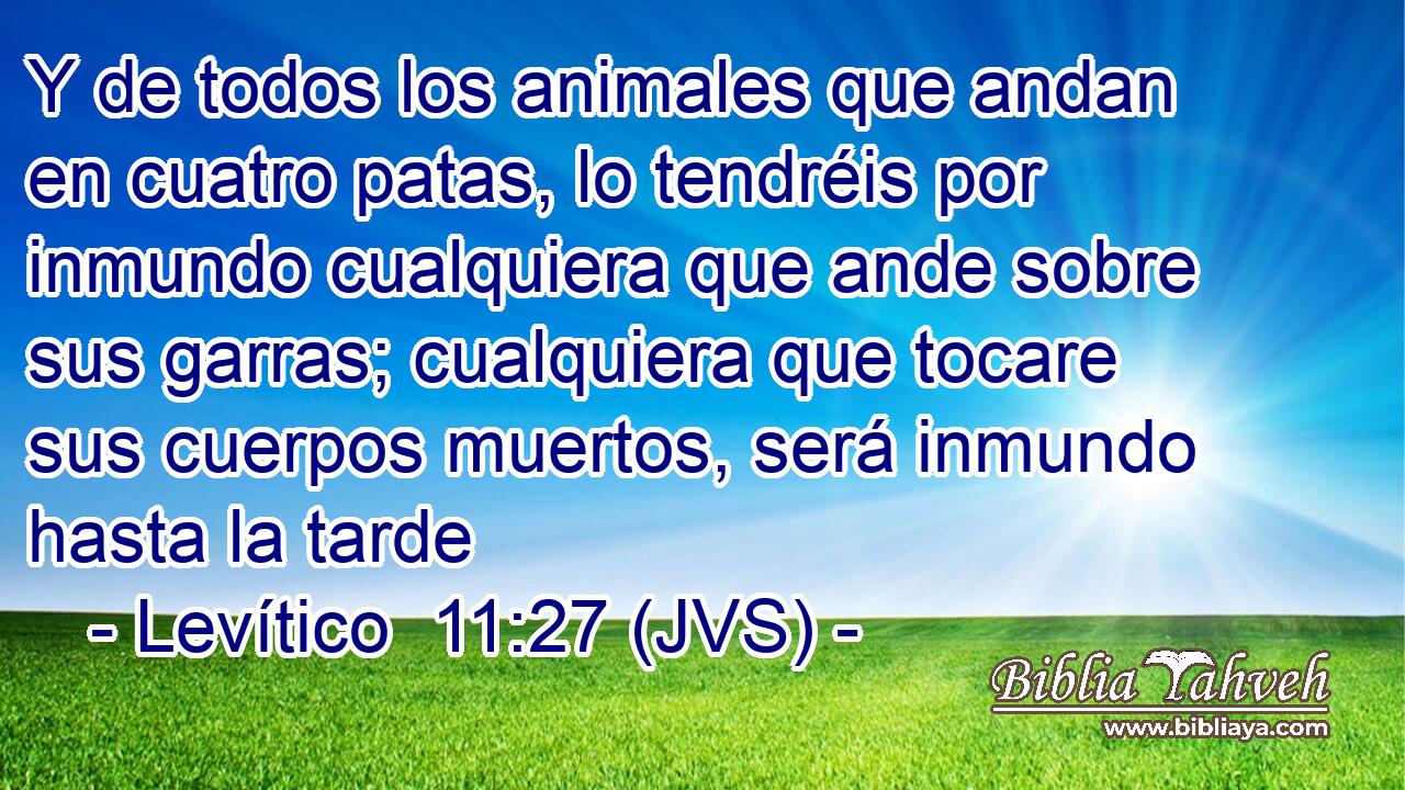 Y de todos los animales que andan en cuatro patas, lo tendréis por inmundo cualquiera que ande sobre sus garras; cualquiera que tocare sus cuerpos muertos, será inmundo hasta la tarde