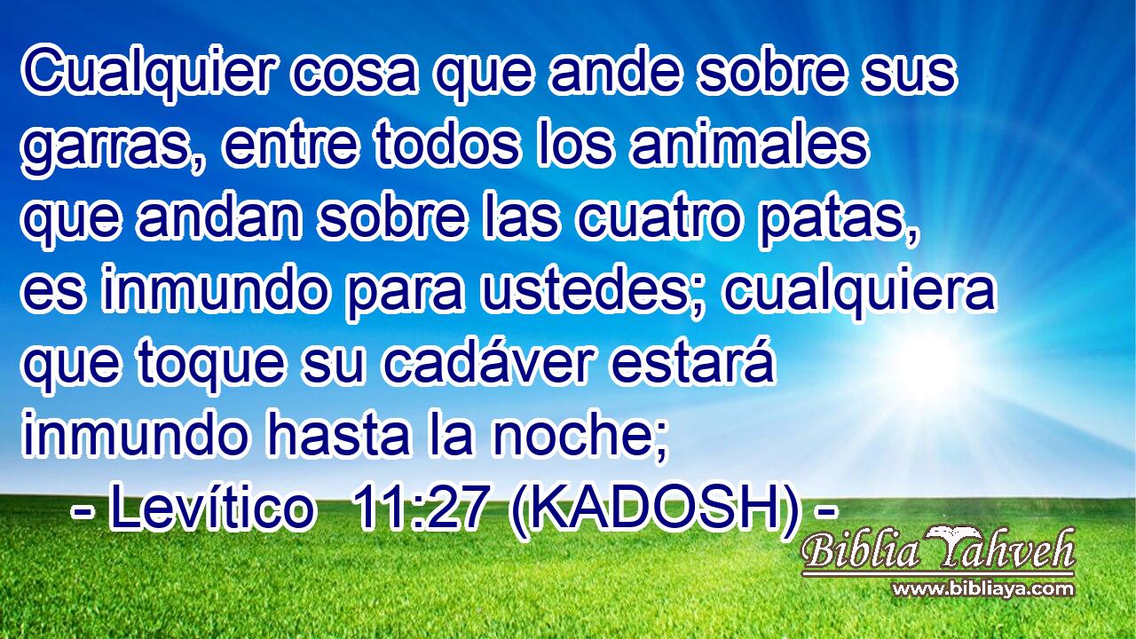  Cualquier cosa que ande sobre sus garras, entre todos los animales que andan sobre las cuatro patas, es inmundo para ustedes; cualquiera que toque su cadáver estará inmundo hasta la noche; 