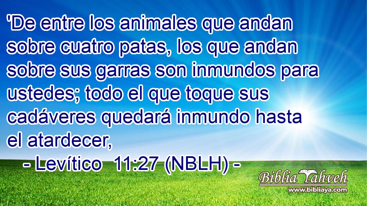  'De entre los animales que andan sobre cuatro patas, los que andan sobre sus garras son inmundos para ustedes; todo el que toque sus cadáveres quedará inmundo hasta el atardecer, 
