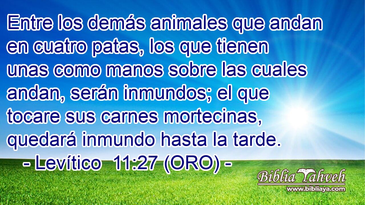  Entre los demás animales que andan en cuatro patas, los que tienen unas como manos sobre las cuales andan, serán inmundos; el que tocare sus carnes mortecinas, quedará inmundo hasta la tarde. 