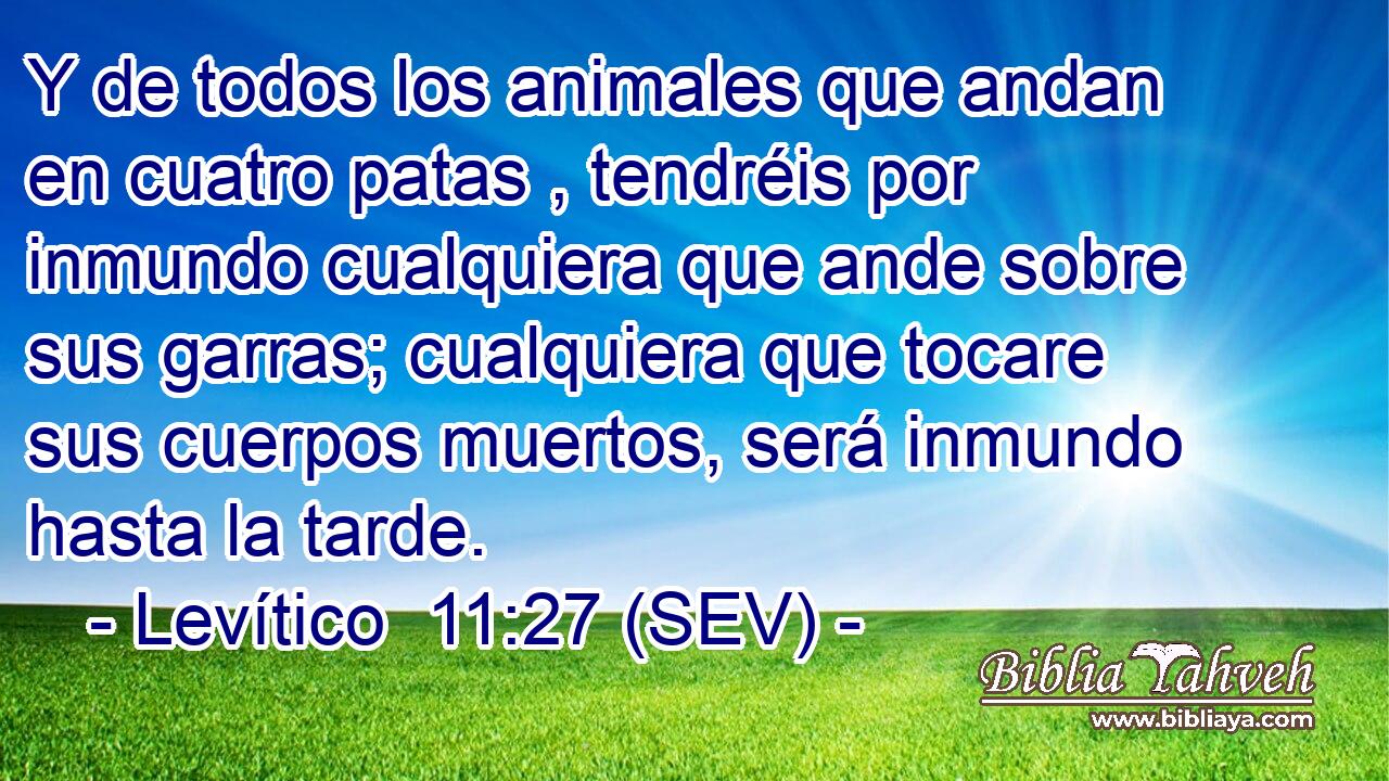 Y de todos los animales que andan en cuatro patas , tendréis por inmundo cualquiera que ande sobre sus garras; cualquiera que tocare sus cuerpos muertos, será inmundo hasta la tarde.