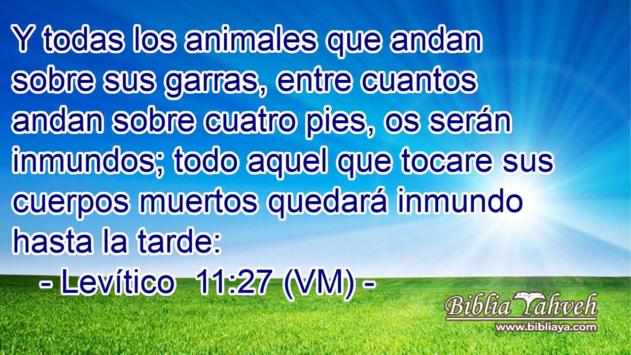  Y todas los animales que andan sobre sus garras, entre cuantos andan sobre cuatro pies, os serán inmundos; todo aquel que tocare sus cuerpos muertos quedará inmundo hasta la tarde: 