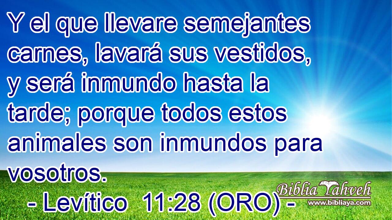 Y el que llevare semejantes carnes, lavará sus vestidos, y será inmundo hasta la tarde; porque todos estos animales son inmundos para vosotros. 