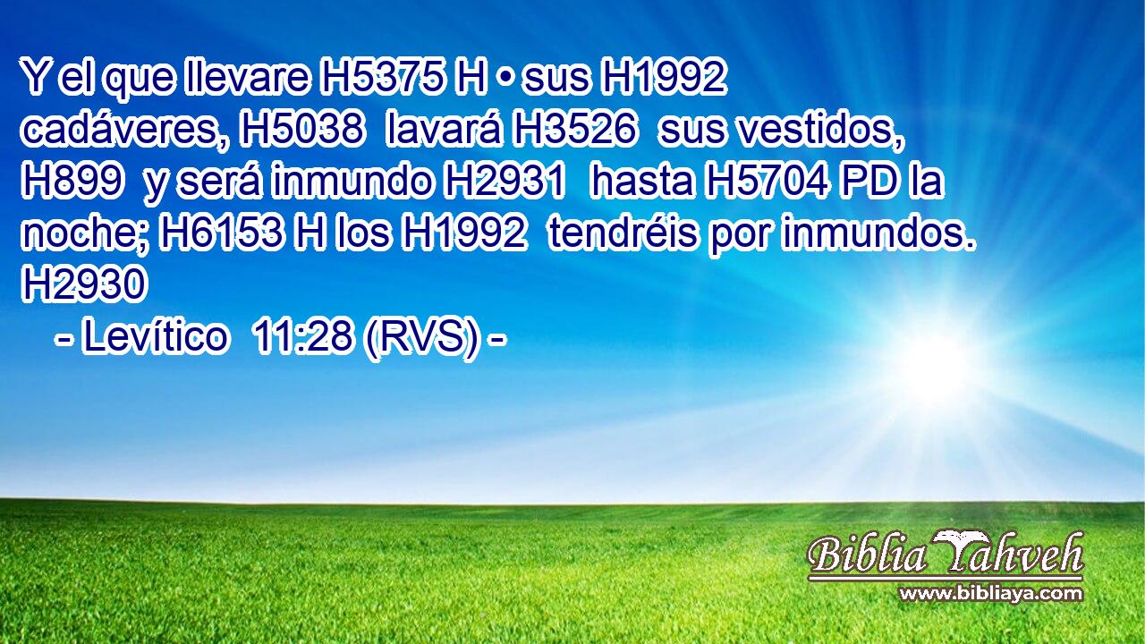 Y el que llevare H5375 H • sus H1992  cadáveres, H5038  lavará H3526  sus vestidos, H899  y será inmundo H2931  hasta H5704 PD la noche; H6153 H los H1992  tendréis por inmundos. H2930  