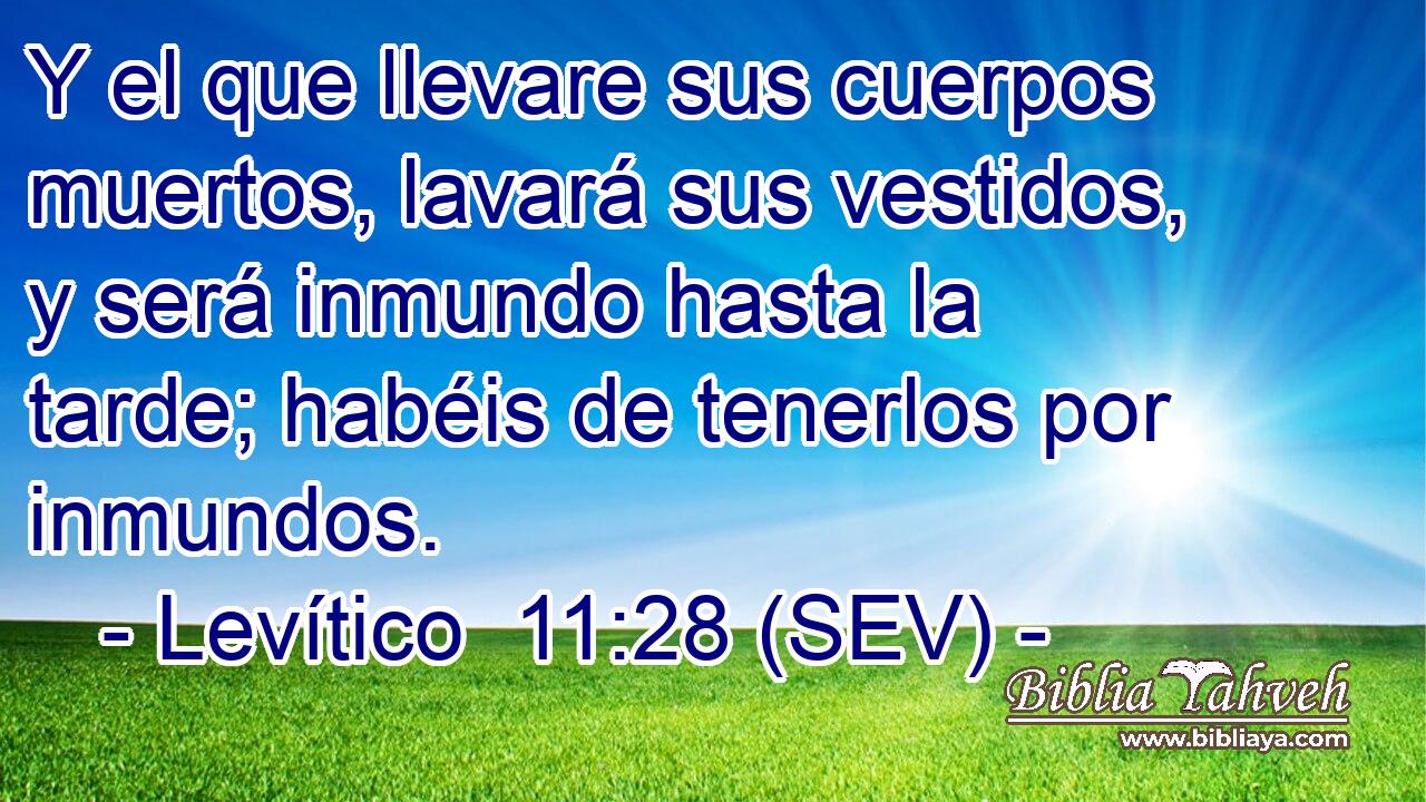 Y el que llevare sus cuerpos muertos, lavará sus vestidos, y será inmundo hasta la tarde; habéis de tenerlos por inmundos.