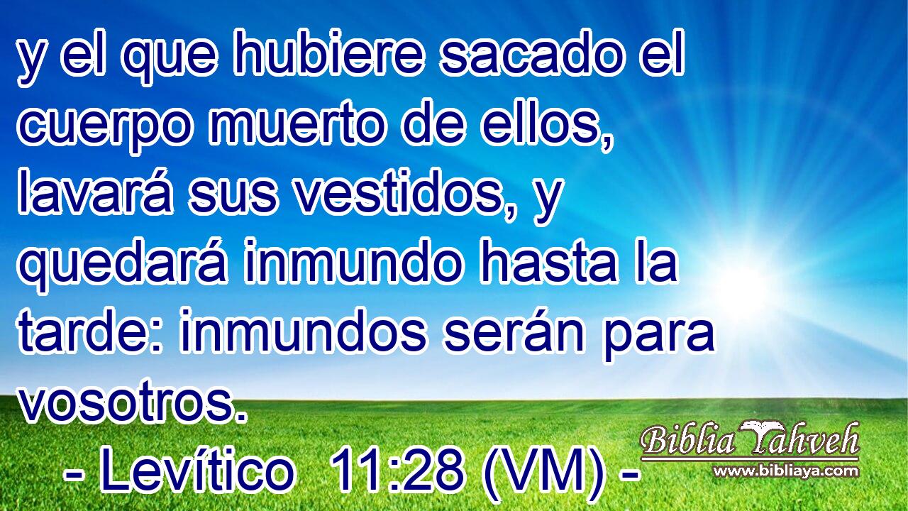  y el que hubiere sacado el cuerpo muerto de ellos, lavará sus vestidos, y quedará inmundo hasta la tarde: inmundos serán para vosotros. 