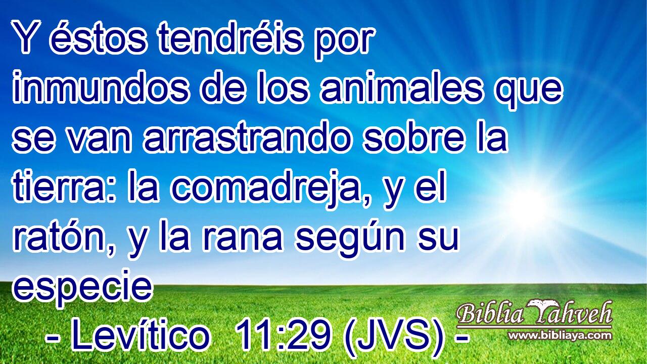 Y éstos tendréis por inmundos de los animales que se van arrastrando sobre la tierra: la comadreja, y el ratón, y la rana según su especie