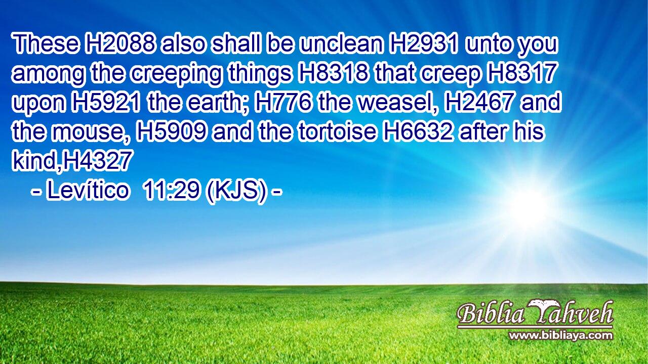 These H2088 also shall be unclean H2931 unto you among the creeping things H8318 that creep H8317 upon H5921 the earth; H776 the weasel, H2467 and the mouse, H5909 and the tortoise H6632 after his kind,H4327