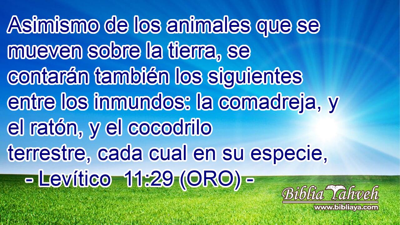  Asimismo de los animales que se mueven sobre la tierra, se contarán también los siguientes entre los inmundos: la comadreja, y el ratón, y el cocodrilo terrestre, cada cual en su especie, 