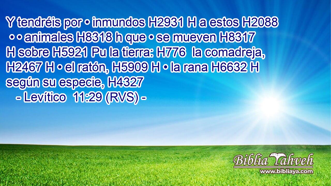 Y tendréis por • inmundos H2931 H a estos H2088  • • animales H8318 h que • se mueven H8317 H sobre H5921 Pu la tierra: H776  la comadreja, H2467 H • el ratón, H5909 H • la rana H6632 H según su especie, H4327  