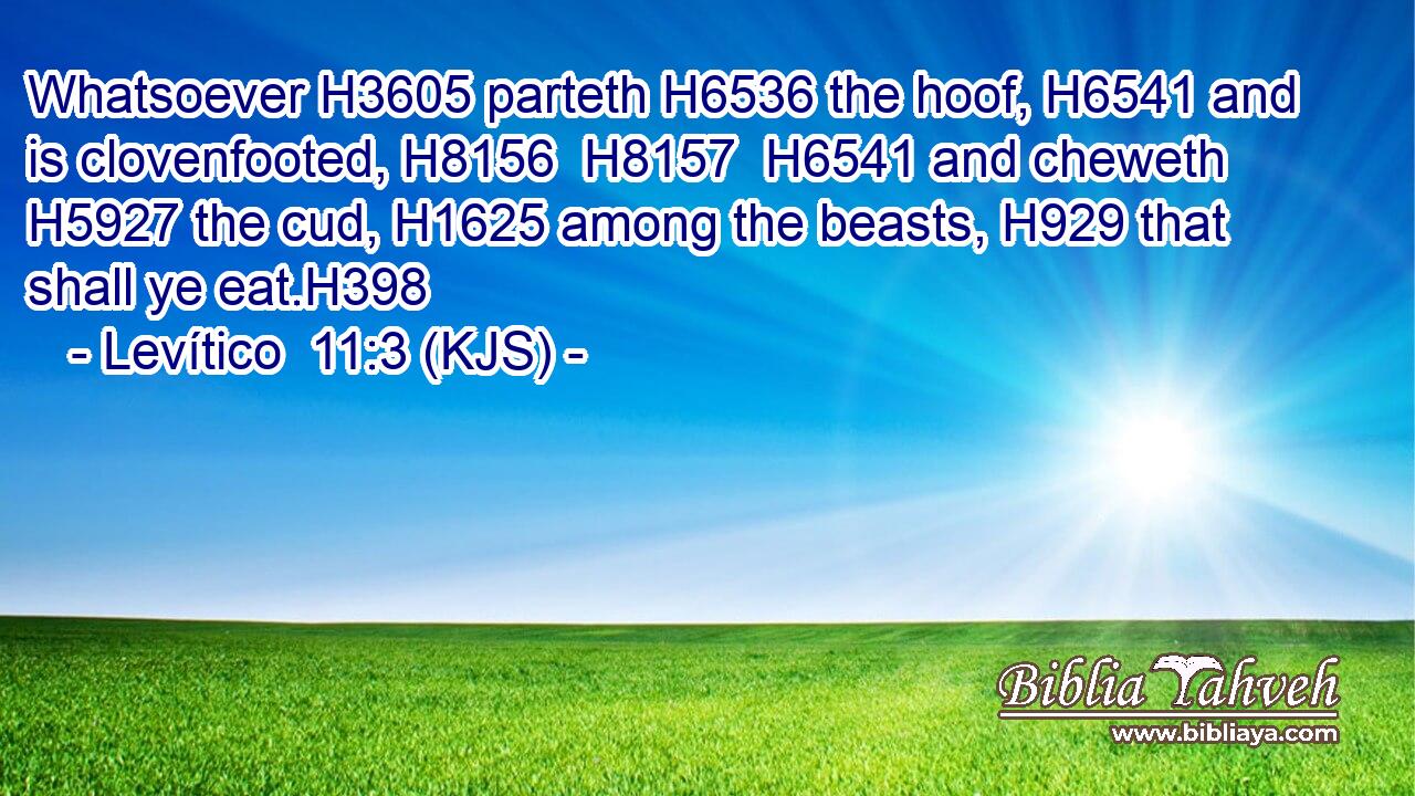 Whatsoever H3605 parteth H6536 the hoof, H6541 and is clovenfooted, H8156  H8157  H6541 and cheweth H5927 the cud, H1625 among the beasts, H929 that shall ye eat.H398