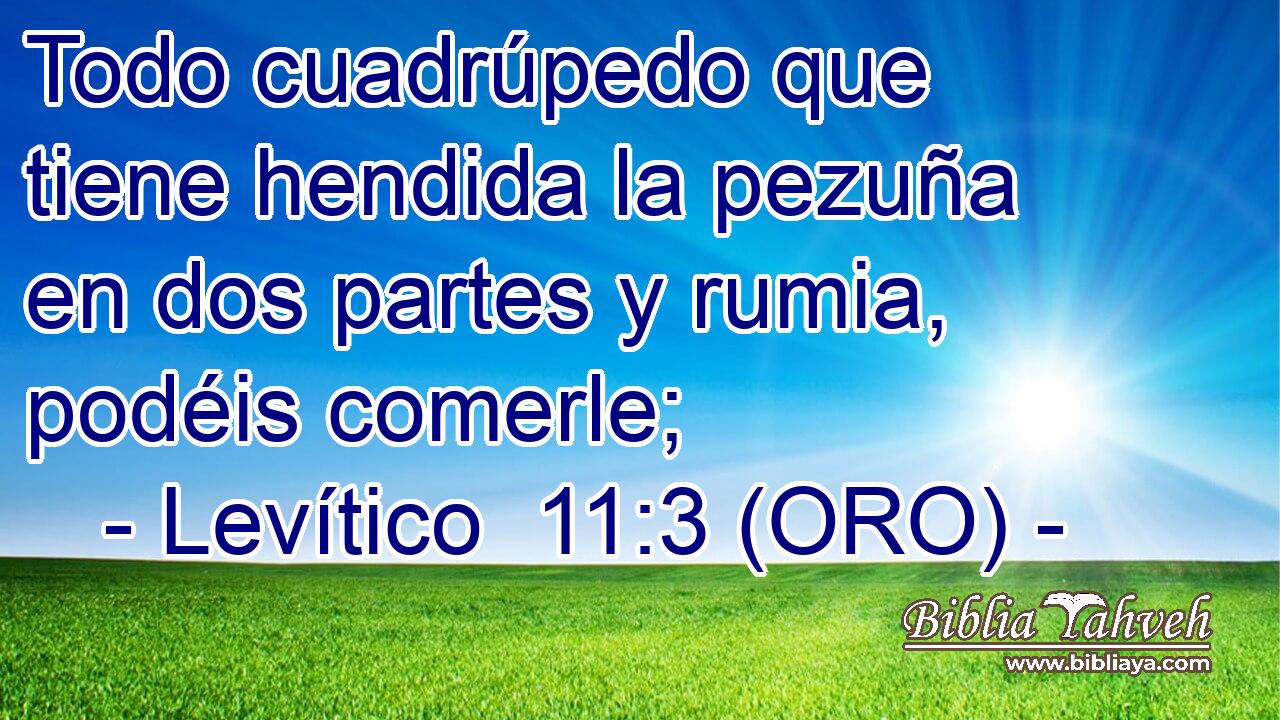  Todo cuadrúpedo que tiene hendida la pezuña en dos partes y rumia, podéis comerle; 