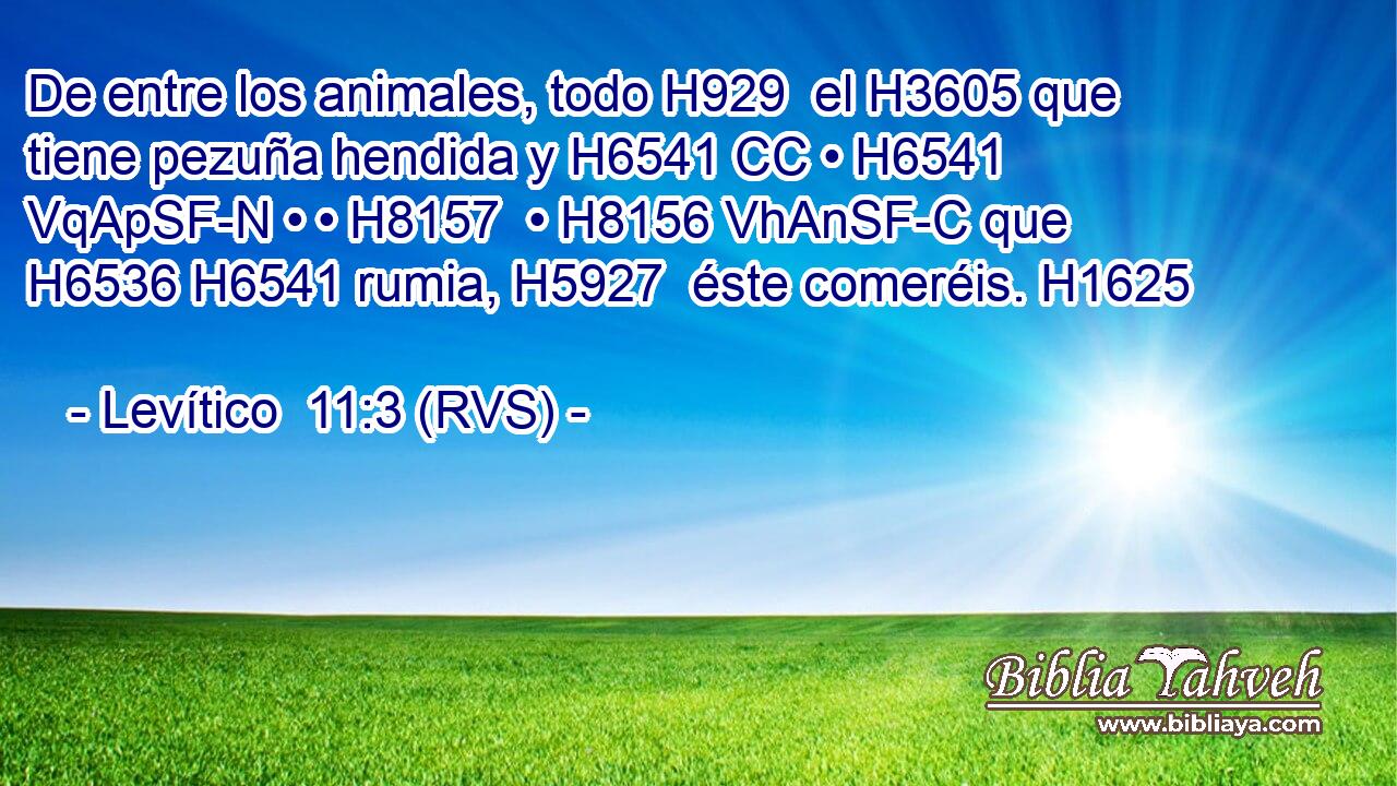 De entre los animales, todo H929  el H3605 que tiene pezuña hendida y H6541 CC • H6541 VqApSF-N • • H8157  • H8156 VhAnSF-C que H6536 H6541 rumia, H5927  éste comeréis. H1625  