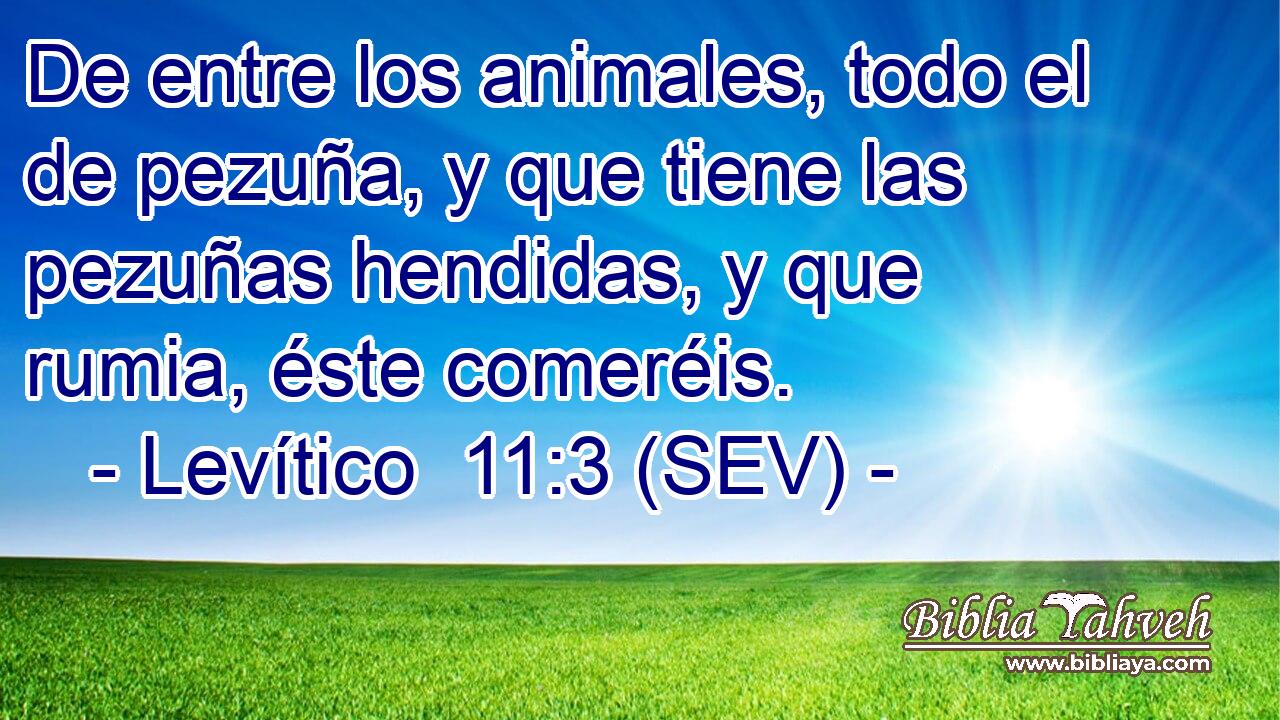 De entre los animales, todo el de pezuña, y que tiene las pezuñas hendidas, y que rumia, éste comeréis.