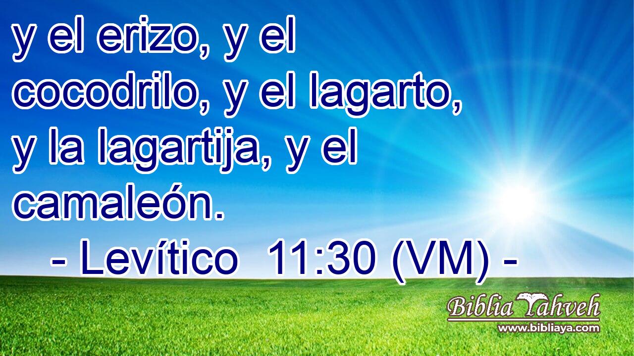  y el erizo, y el cocodrilo, y el lagarto, y la lagartija, y el camaleón. 