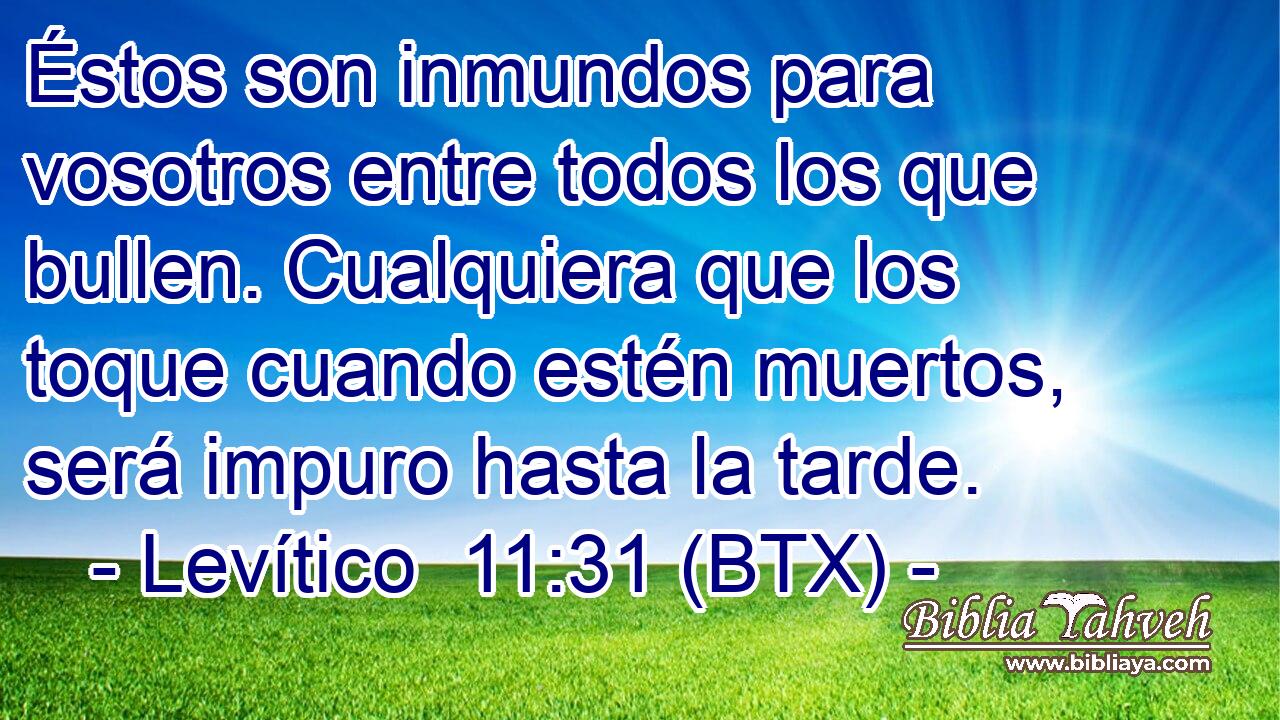 Éstos son inmundos para vosotros entre todos los que bullen. Cualquiera que los toque cuando estén muertos, será impuro hasta la tarde.