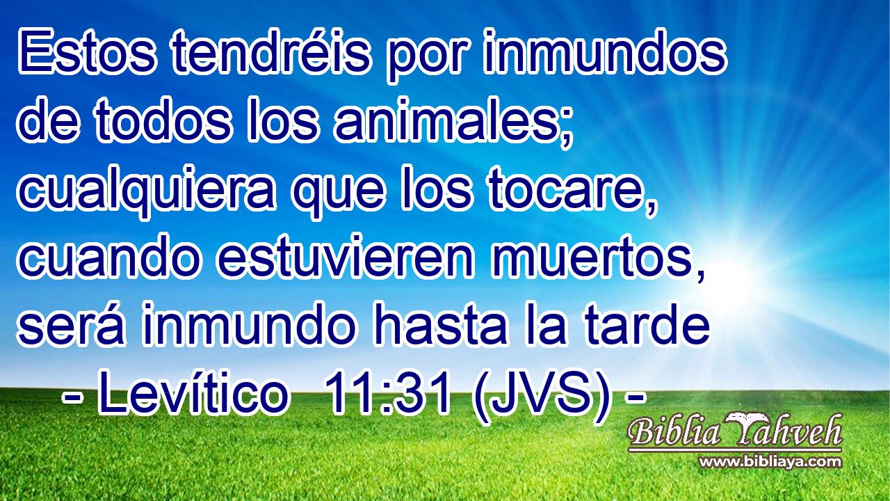 Estos tendréis por inmundos de todos los animales; cualquiera que los tocare, cuando estuvieren muertos, será inmundo hasta la tarde