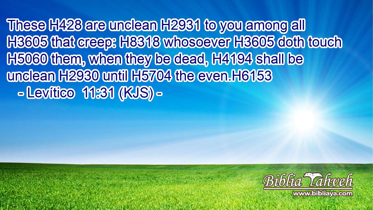 These H428 are unclean H2931 to you among all H3605 that creep: H8318 whosoever H3605 doth touch H5060 them, when they be dead, H4194 shall be unclean H2930 until H5704 the even.H6153