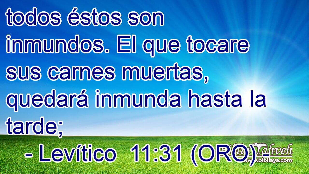  todos éstos son inmundos. El que tocare sus carnes muertas, quedará inmunda hasta la tarde; 