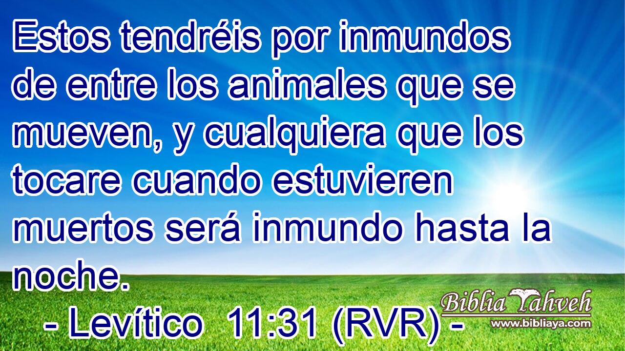 Estos tendréis por inmundos de entre los animales que se mueven, y cualquiera que los tocare cuando estuvieren muertos será inmundo hasta la noche.