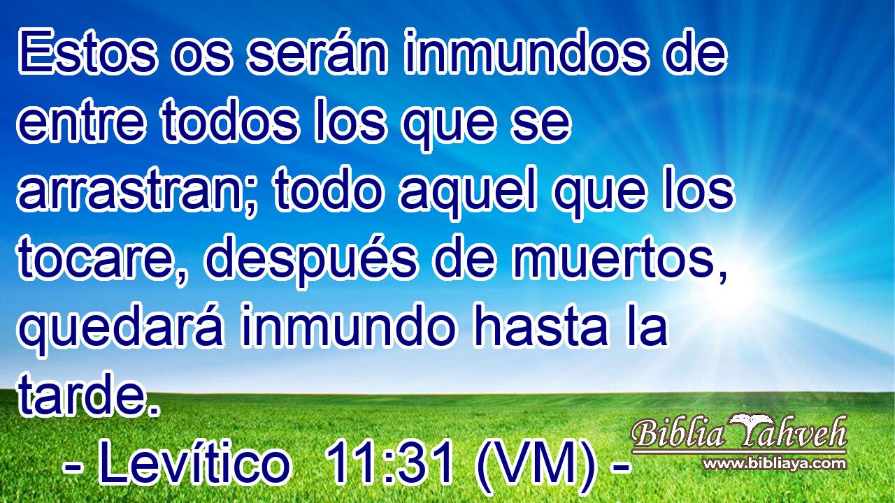  Estos os serán inmundos de entre todos los que se arrastran; todo aquel que los tocare, después de muertos, quedará inmundo hasta la tarde. 