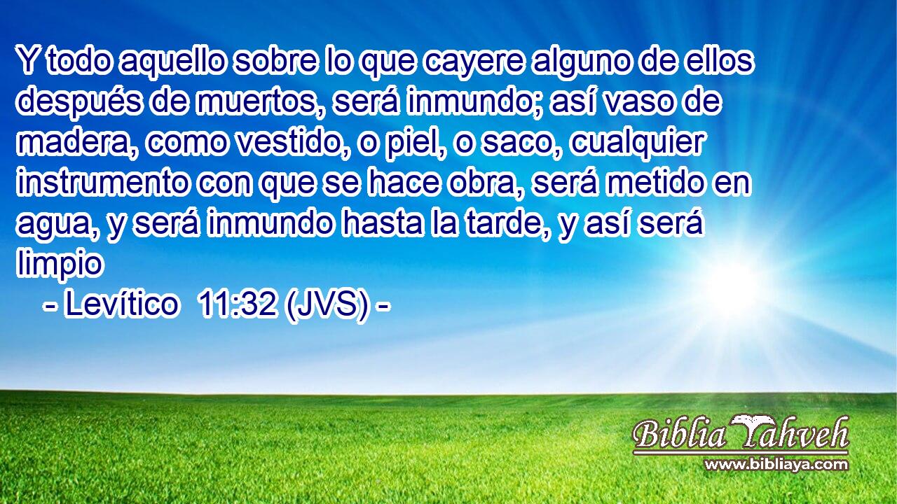 Y todo aquello sobre lo que cayere alguno de ellos después de muertos, será inmundo; así vaso de madera, como vestido, o piel, o saco, cualquier instrumento con que se hace obra, será metido en agua, y será inmundo hasta la tarde, y así será limpio