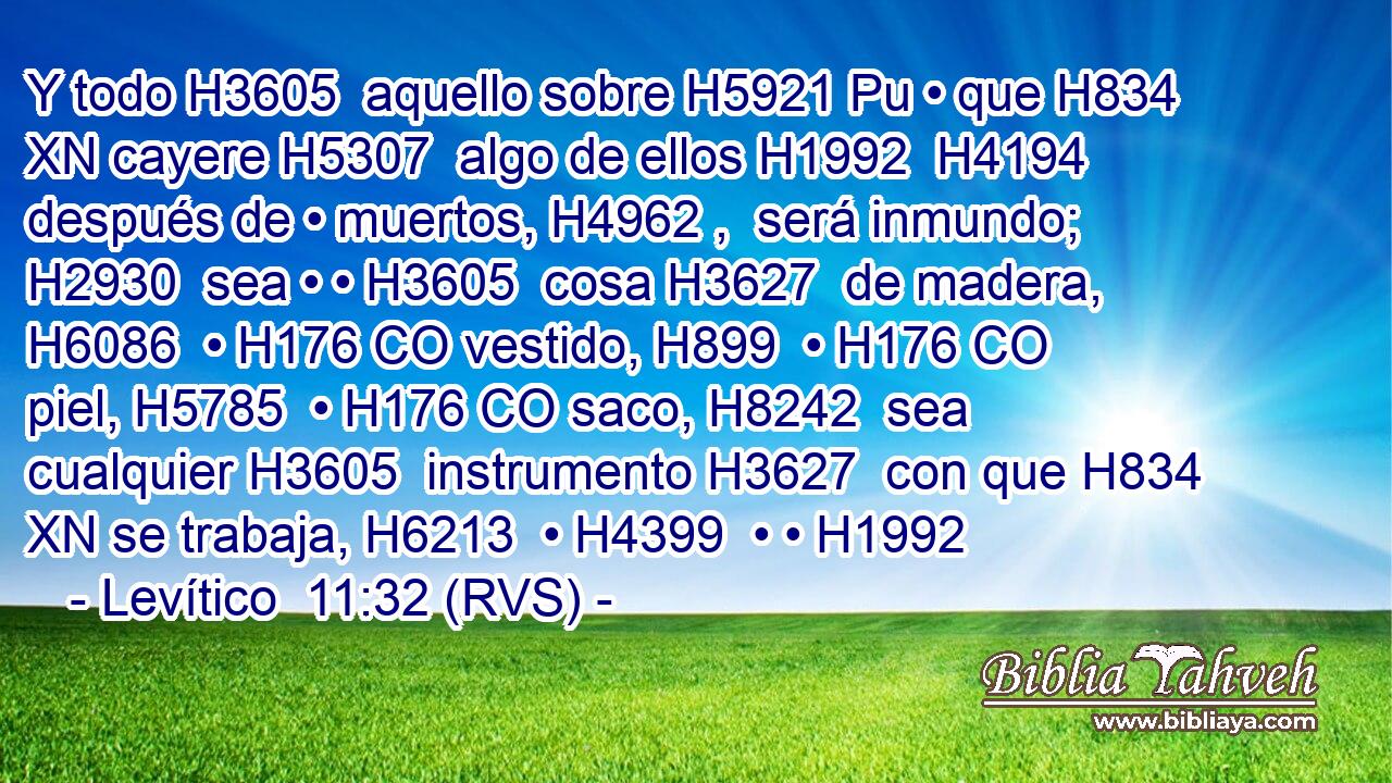 Y todo H3605  aquello sobre H5921 Pu • que H834 XN cayere H5307  algo de ellos H1992  H4194 después de • muertos, H4962 ,  será inmundo; H2930  sea • • H3605  cosa H3627  de madera, H6086  • H176 CO vestido, H899  • H176 CO piel, H5785  • H176 CO saco, H8242  sea cualquier H3605  instrumento H3627  con que H834 XN se trabaja, H6213  • H4399  • • H1992  