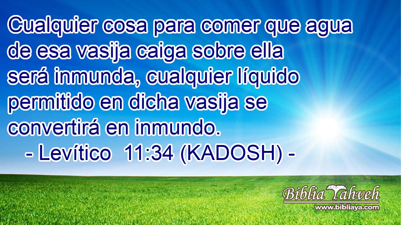  Cualquier cosa para comer que agua de esa vasija caiga sobre ella será inmunda, cualquier líquido permitido en dicha vasija se convertirá en inmundo. 