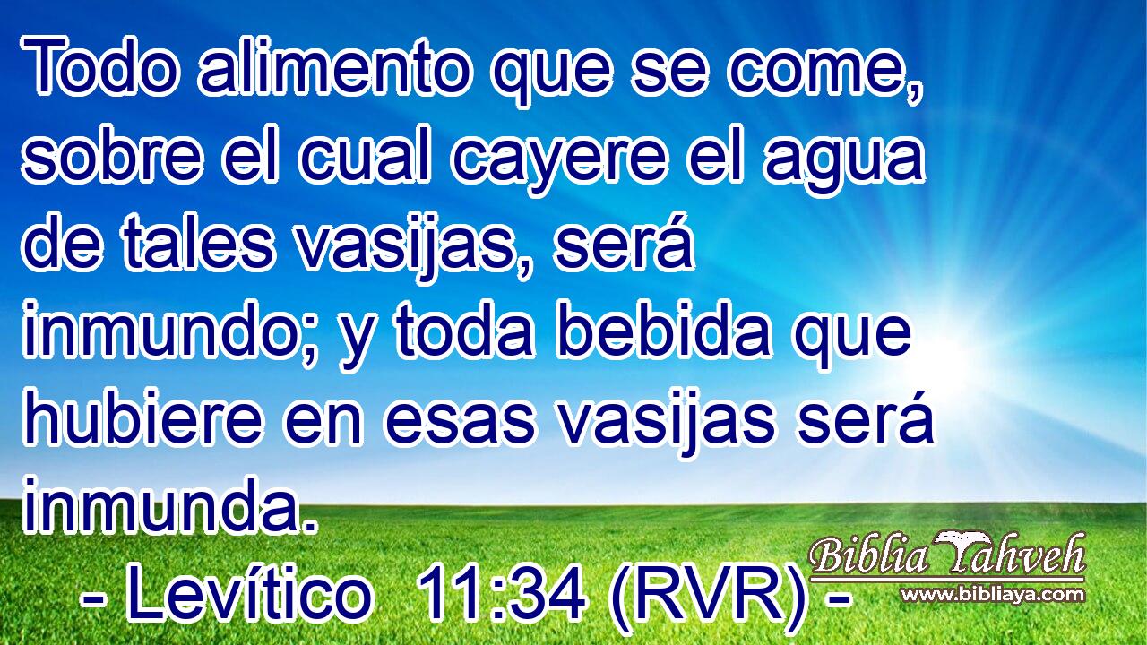 Todo alimento que se come, sobre el cual cayere el agua de tales vasijas, será inmundo; y toda bebida que hubiere en esas vasijas será inmunda.