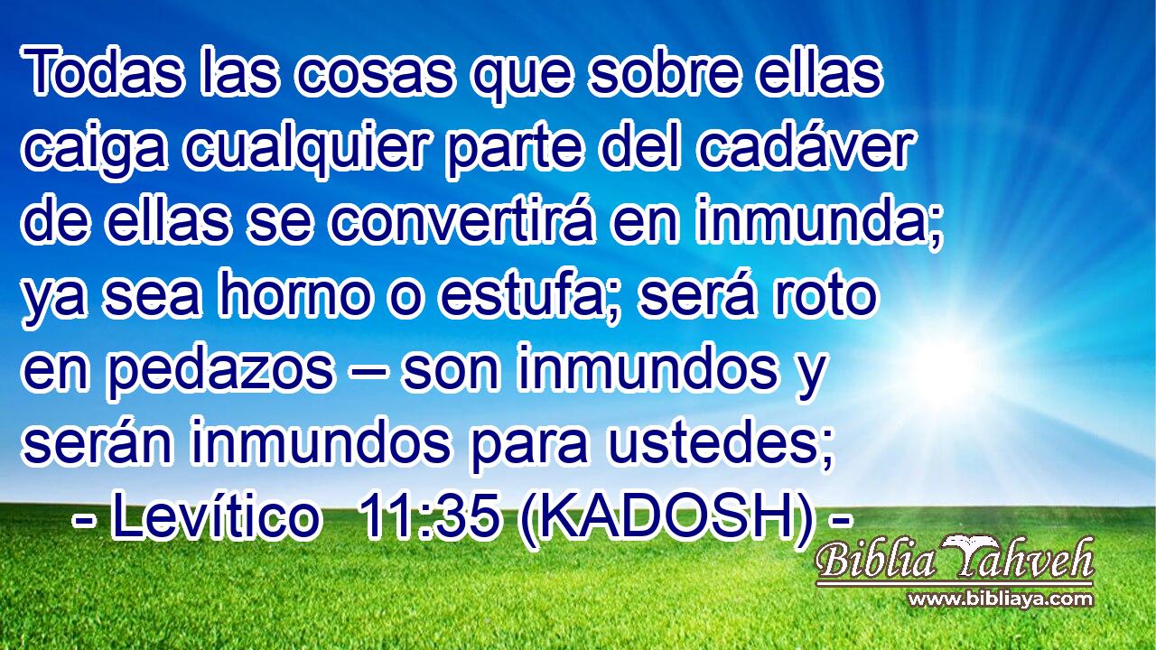  Todas las cosas que sobre ellas caiga cualquier parte del cadáver de ellas se convertirá en inmunda; ya sea horno o estufa; será roto en pedazos – son inmundos y serán inmundos para ustedes; 