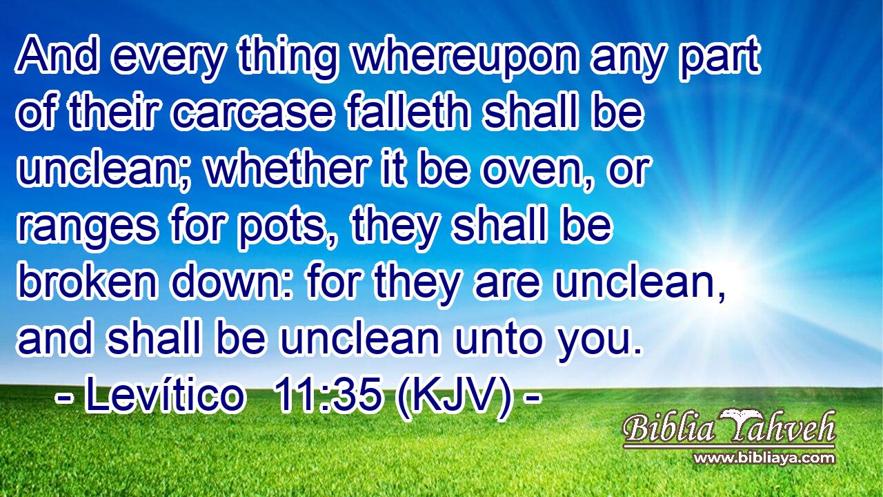 And every thing whereupon any part of their carcase falleth shall be unclean; whether it be oven, or ranges for pots, they shall be broken down: for they are unclean, and shall be unclean unto you.