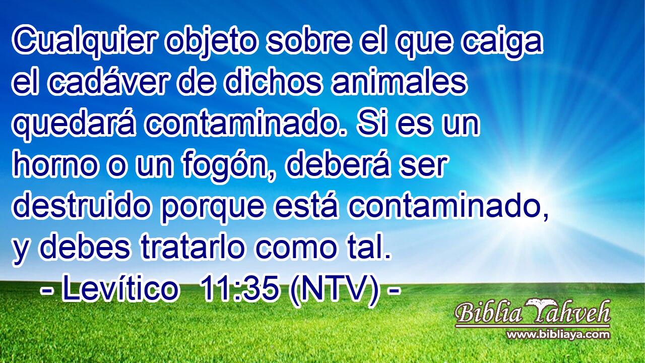 Cualquier objeto sobre el que caiga el cadáver de dichos animales quedará contaminado. Si es un horno o un fogón, deberá ser destruido porque está contaminado, y debes tratarlo como tal.