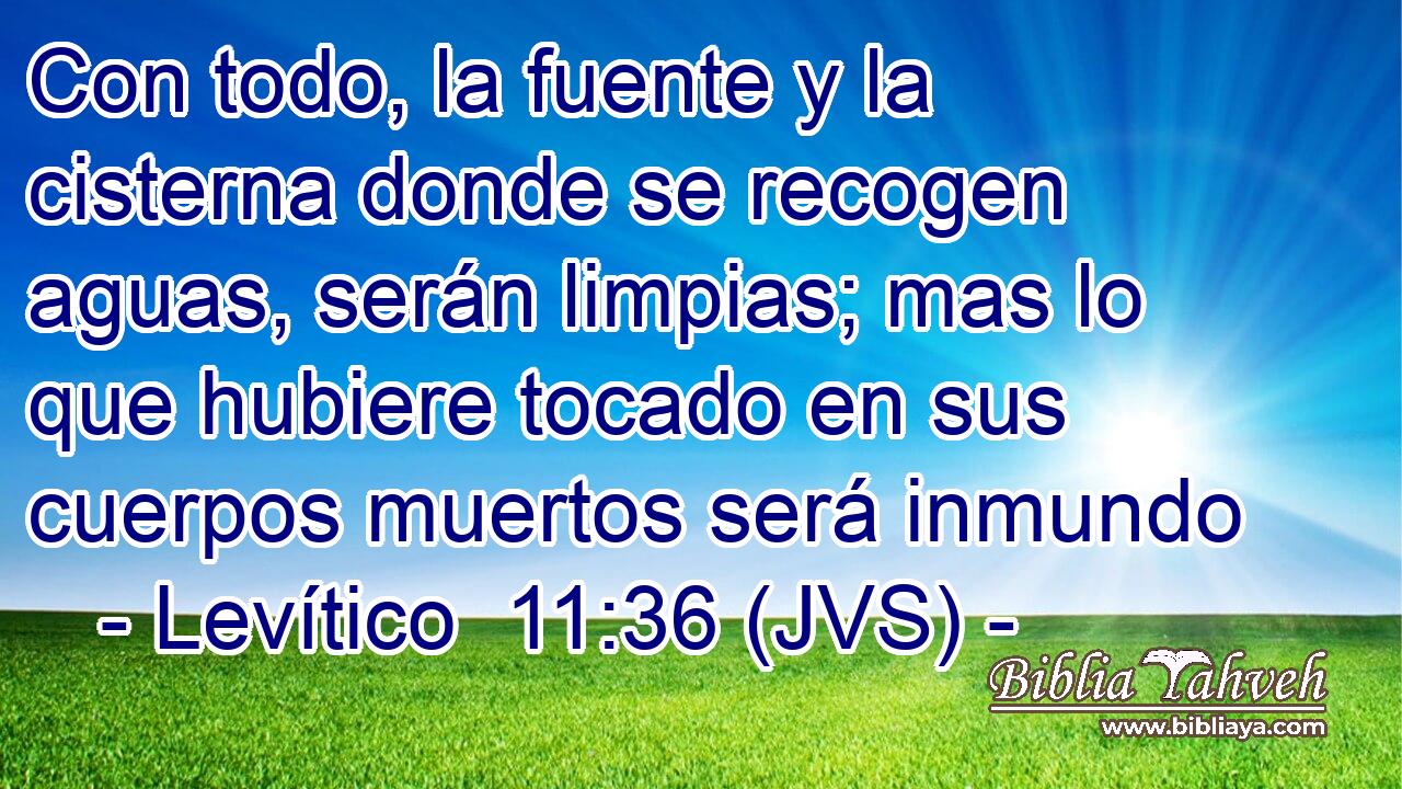 Con todo, la fuente y la cisterna donde se recogen aguas, serán limpias; mas lo que hubiere tocado en sus cuerpos muertos será inmundo